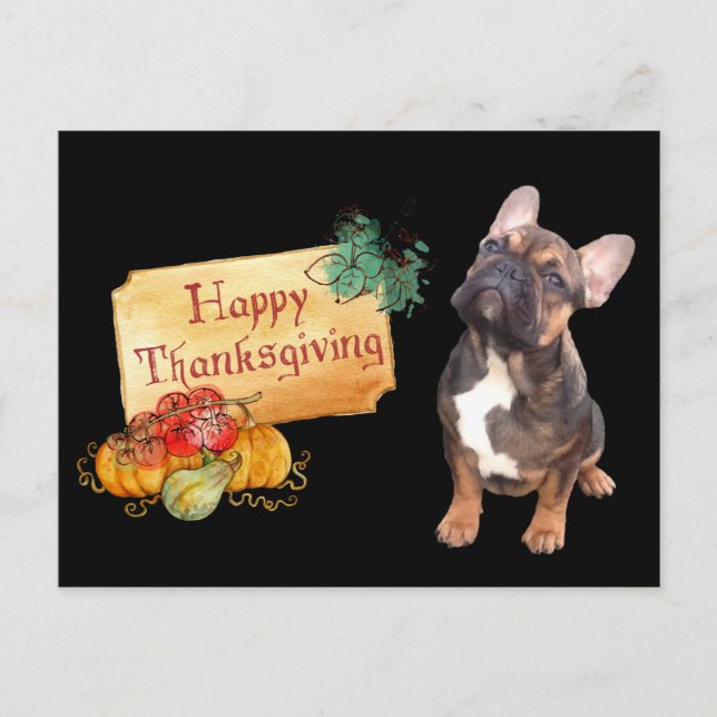 Thanksgiving French Bulldog Postcard (Front)
