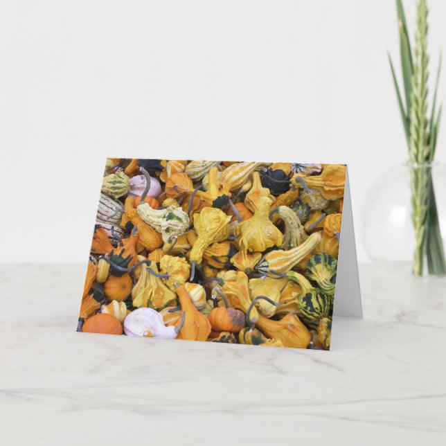 Thanksgiving Gourds Holiday Card (Front)