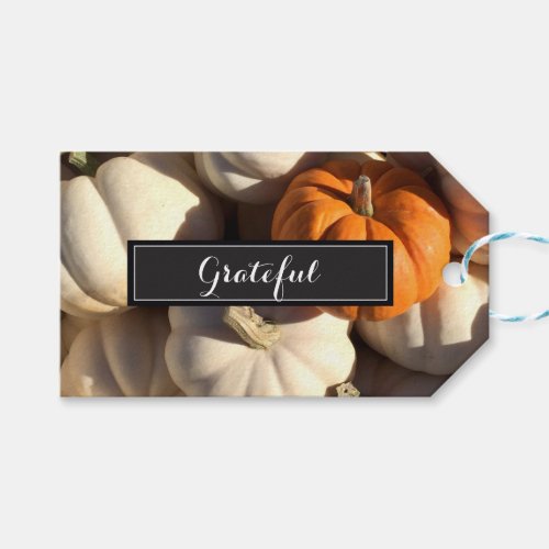 Thanksgiving Grateful pumpkin Gift Tags