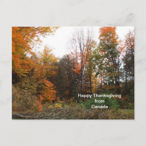 Thanksgiving Greeting from Canada_Autumn Colours Holiday Postcard