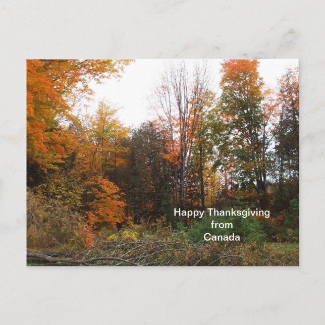 Thanksgiving Greeting from Canada-Autumn Colours Holiday Postcard (Front)