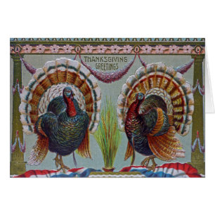 Thanksgiving Greetings 1906 Cards