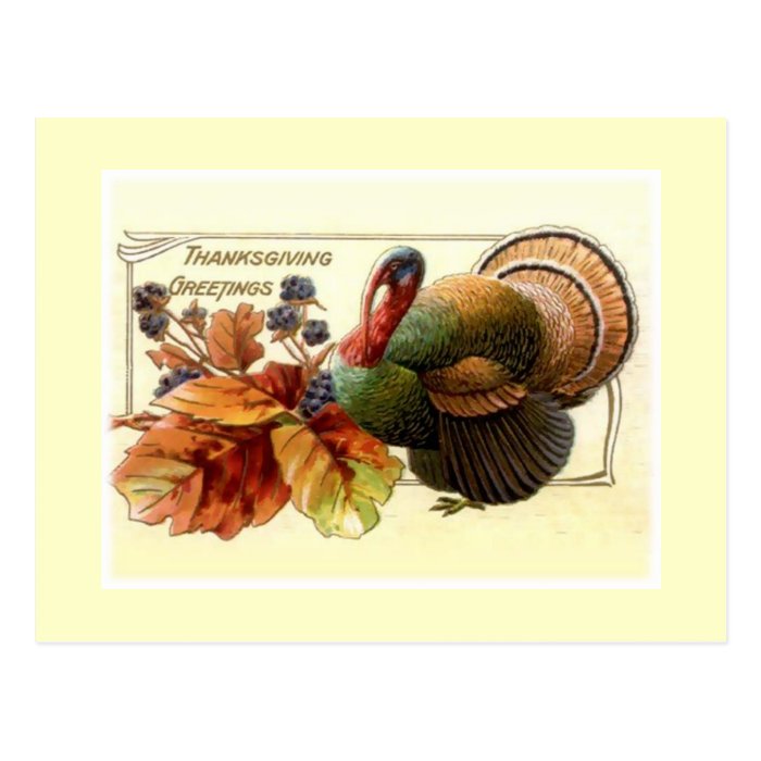 Thanksgiving Greetings Post Card
