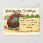 Thanksgiving Greetings Turkey Holiday Postcard