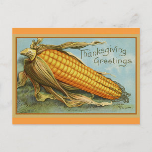 Thanksgiving Greetings Vintage Fall Harvest Postcard