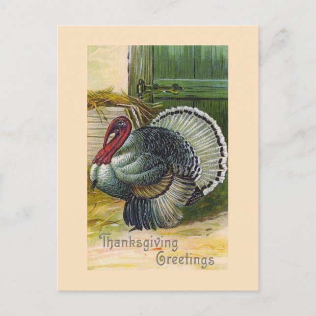 "Thanksgiving Greetings" Vintage Postcard (Front)