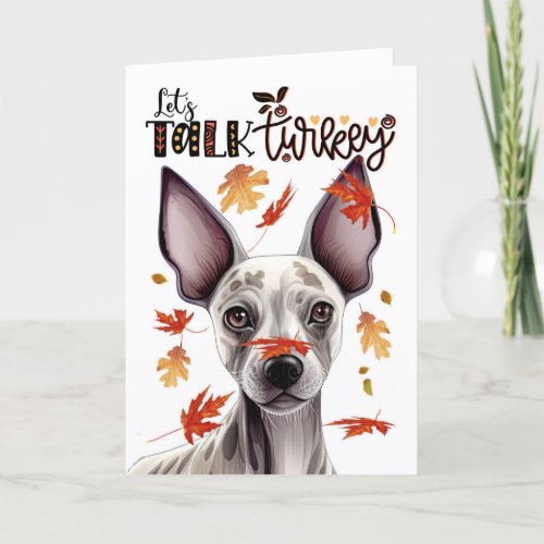 Thanksgiving Hairless Terrier Lets Talk Turkey Holiday Card