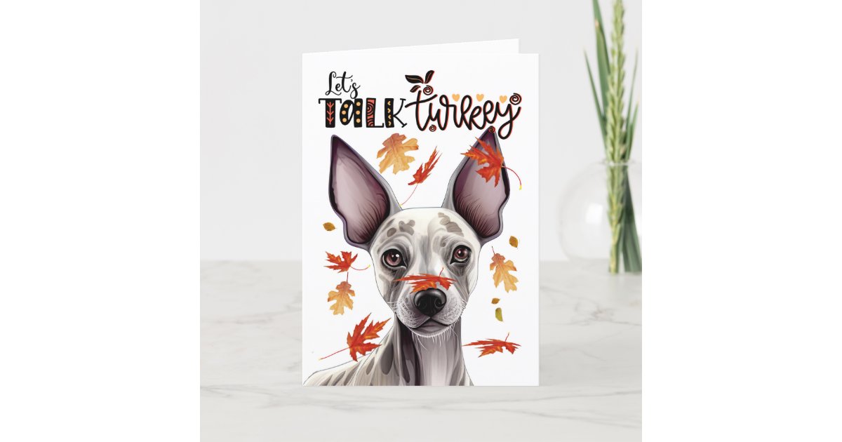 Thanksgiving Hairless Terrier Let's Talk Turkey Holiday Card Zazzle