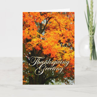 Thanksgiving Holiday Card