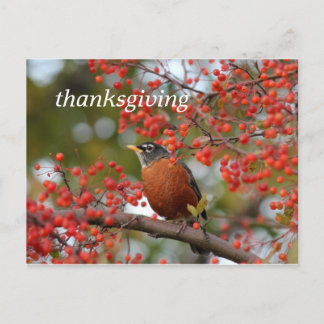 thanksgiving holiday postcard