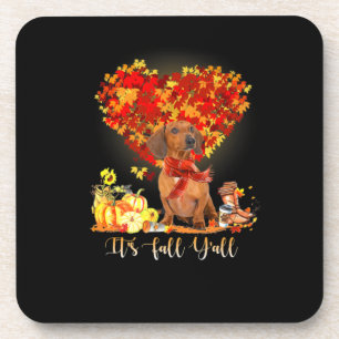 Thanksgiving It's Fall Y'all Dachshund Beverage Coaster
