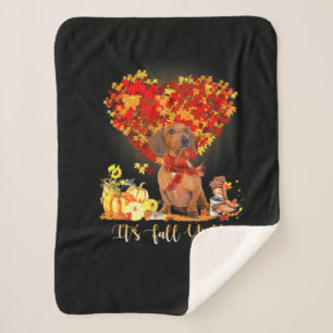 Thanksgiving It's Fall Y'all Dachshund Sherpa Blanket