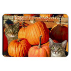 Thanksgiving kitties and pumpkins