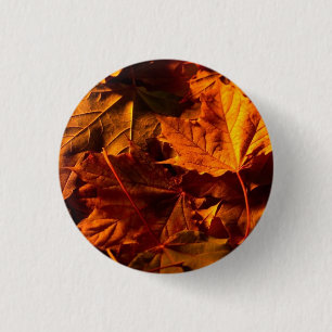 Thanksgiving Leaves Pinback Button