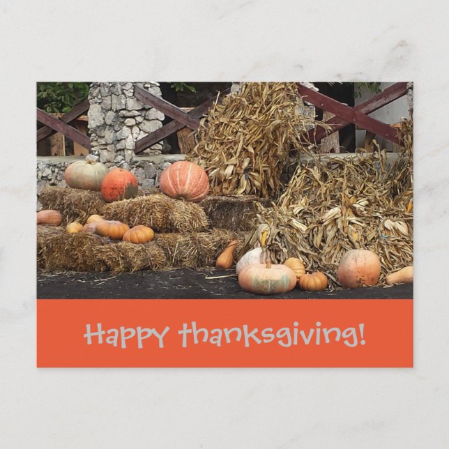 Thanksgiving Orange pumpkin rustic Postcard (Front)