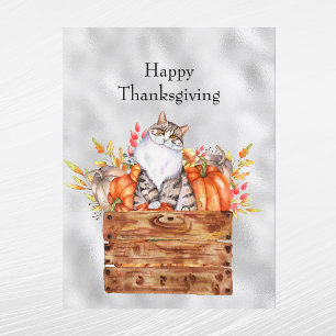 Thanksgiving Orange Pumpkins Cat Floral Holiday Postcard