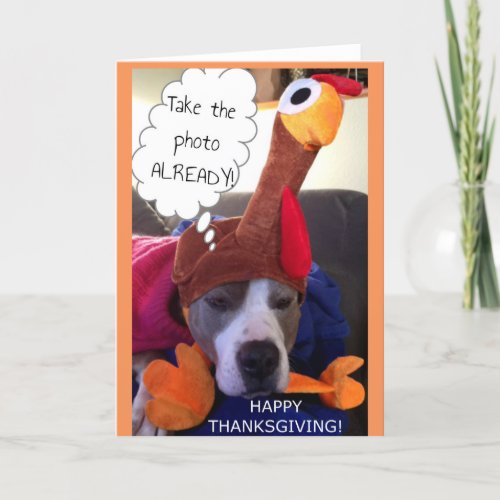 Thanksgiving _ Pathetic Pittie Holiday Card