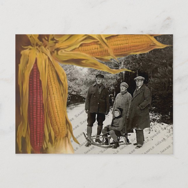 Thanksgiving Photo Greetings Postcard (Front)