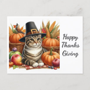 Thanksgiving Pilgrim Cat and Pumpkins Postcard