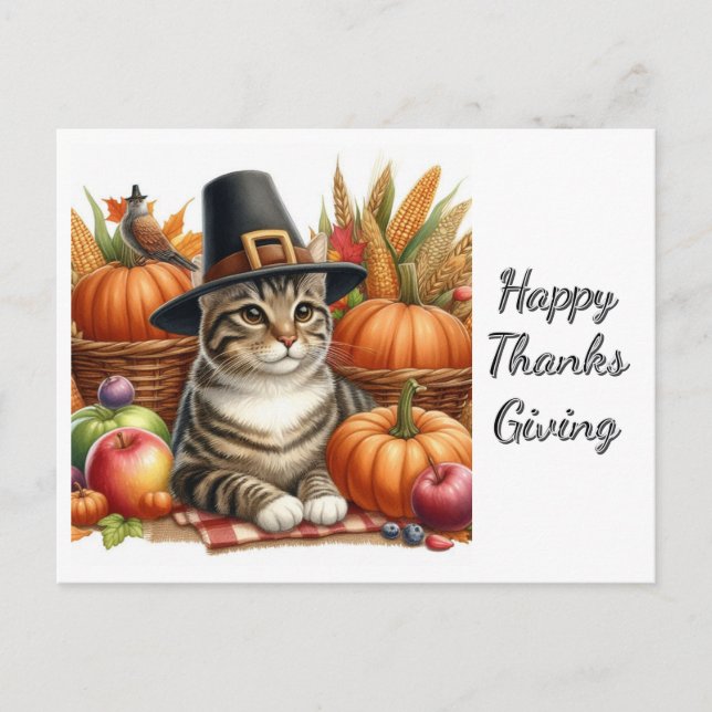 Thanksgiving Pilgrim Cat and Pumpkins  Postcard (Front)