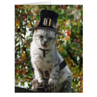 Thanksgiving Pilgrim Cat Cards