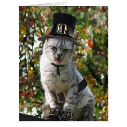 Thanksgiving Pilgrim Cat Cards (Front)