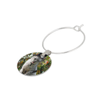 Thanksgiving Pilgrim Cat Wine Charm