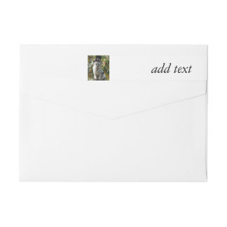 Thanksgiving Pilgrim Cat Wrap Around Label