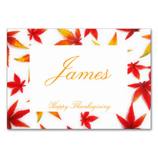 Thanksgiving Place Cards With Autumn Leaves