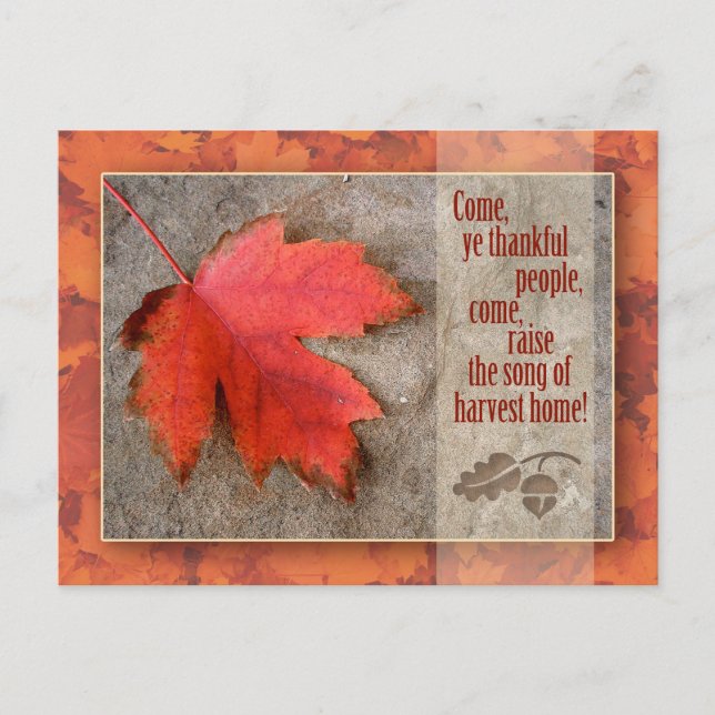 Thanksgiving Postcard (Front)