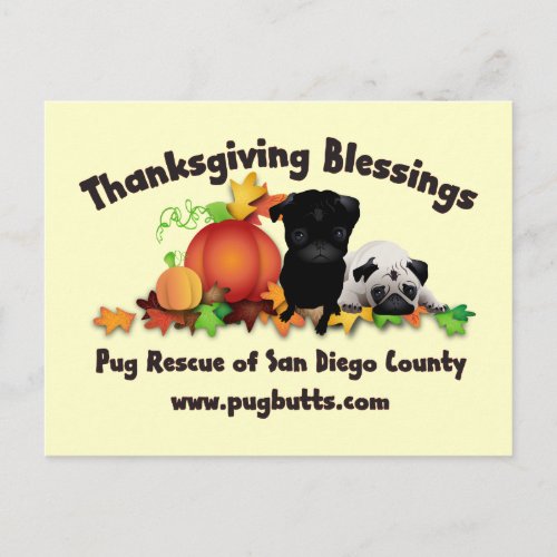 Thanksgiving Pug Tees and Gifts _ 4 styles Holiday Postcard