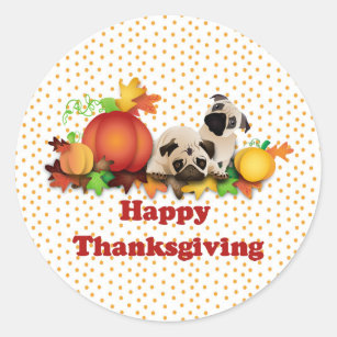 Thanksgiving Pugs and Pumpkins Classic Round Sticker