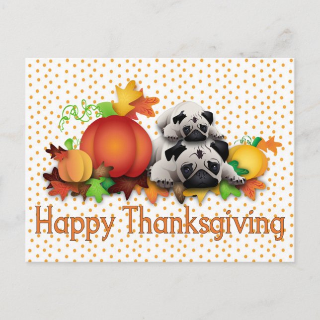 Thanksgiving Pugs and Pumpkins Gifts, Tees Holiday Postcard (Front)