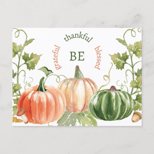 Thanksgiving Pumpkin Harvest  Holiday Postcard