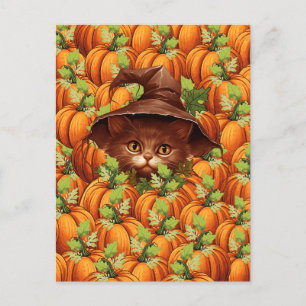 THANKSGIVING PUMPKINS CUTE CAT POSTCARD