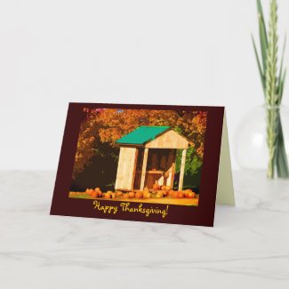 Thanksgiving Pumpkins Holiday Card