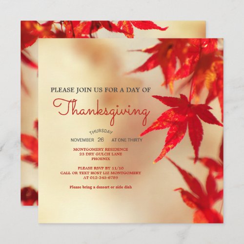 Thanksgiving Red Autumn Leaves Border Template