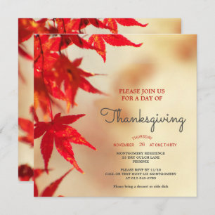 Thanksgiving Red Autumn Leaves Border Template