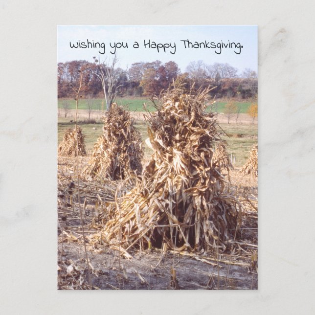 Thanksgiving Retro Autumn Cornstalk Harvest Holiday Postcard (Front)
