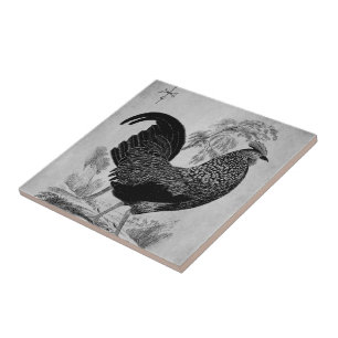 Thanksgiving Rooster in Monochrome Ceramic Tile