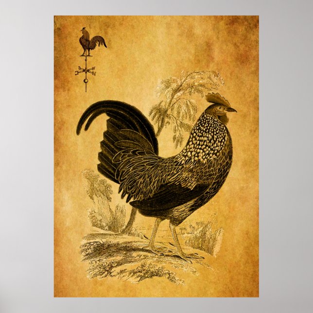 Thanksgiving Rooster Poster (Front)