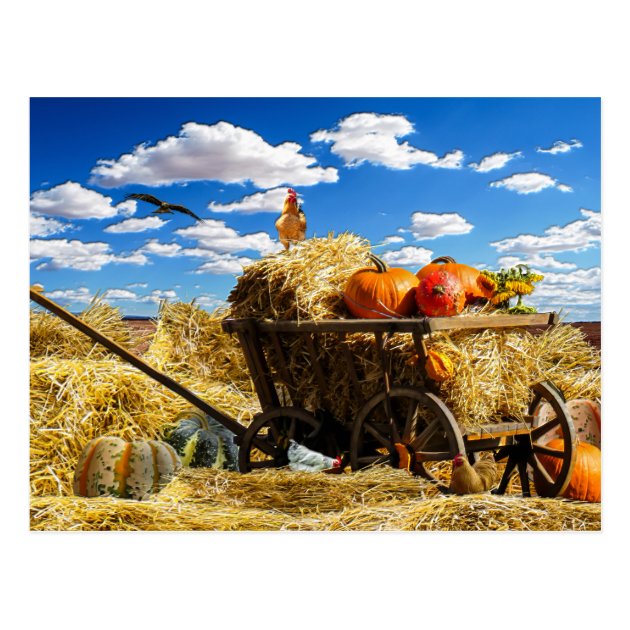 Thanksgiving Straw Wagon In The Field Postcard