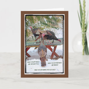 Thanksgiving Trio of Turkeys Card - Blessings
