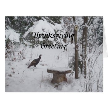 Thanksgiving -turkey by dolly_1 at Zazzle
