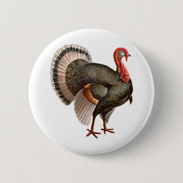THANKSGIVING TURKEY BUTTON (Front)