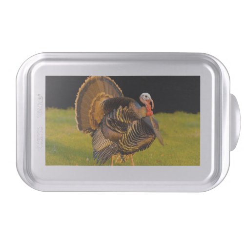 Thanksgiving turkey cake pan