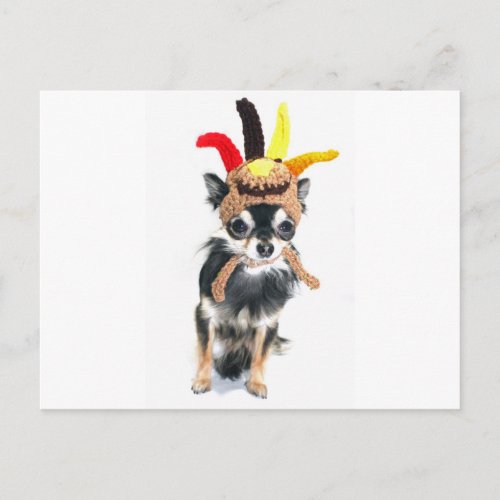 Thanksgiving Turkey Chihuahua Holiday Postcard