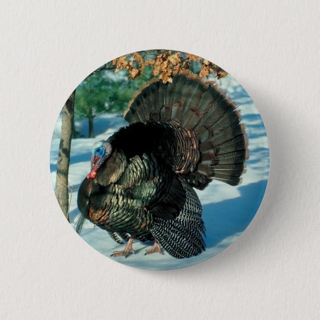 Thanksgiving Turkey Christmas Bird Winter Holidays Button (Front)