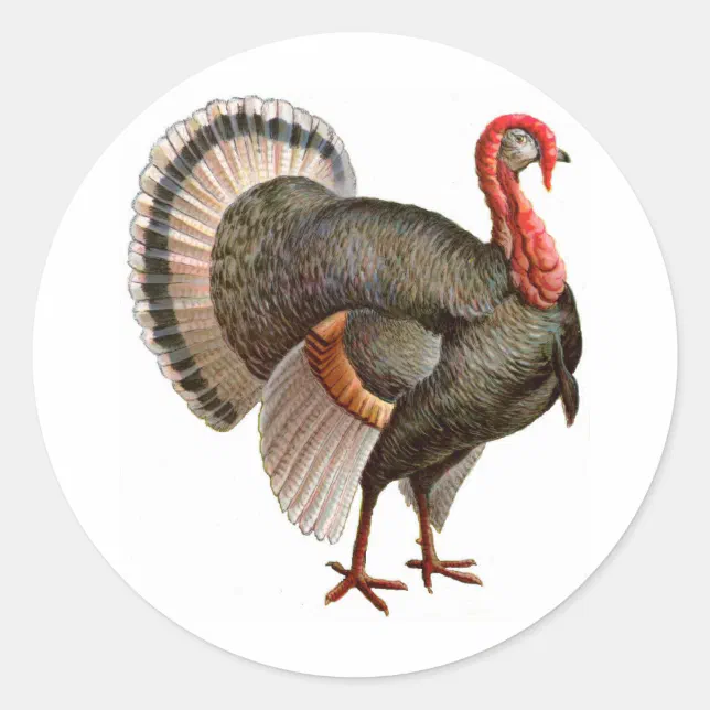THANKSGIVING TURKEY CLASSIC ROUND STICKER | Zazzle