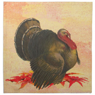 Thanksgiving Turkey Cloth Napkin